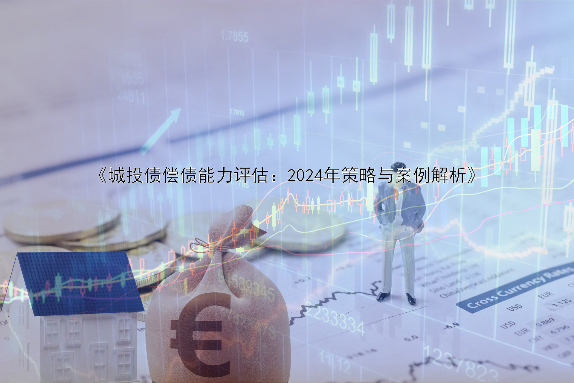 《城投债偿债能力评估：2024年策略与案例解析》